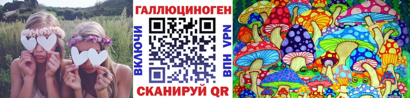 Галлюциногенные грибы Psilocybe  гидра маркетплейс  Ачхой-Мартан 